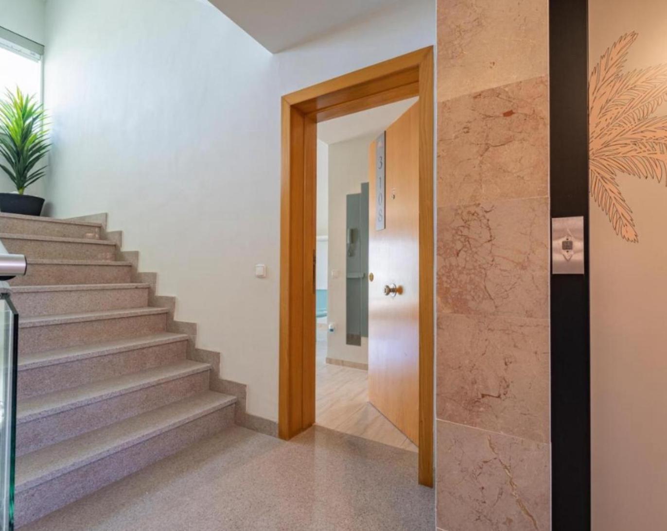 Apartament Views